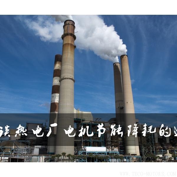 淺談熱電廠電機(jī)節(jié)能降耗的途徑