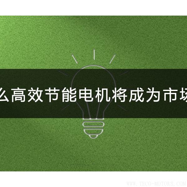 為什么高效節(jié)能電機將會成為市場主流