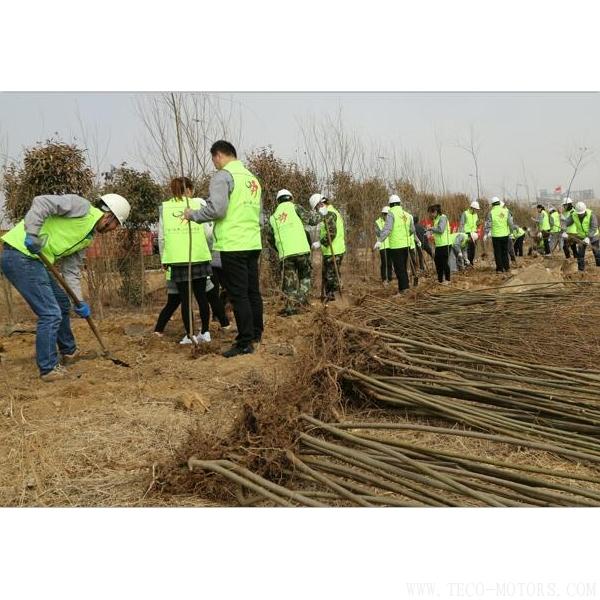 【造紙】建環(huán)保工廠 創(chuàng)森林城市 行業(yè)資訊 第2張