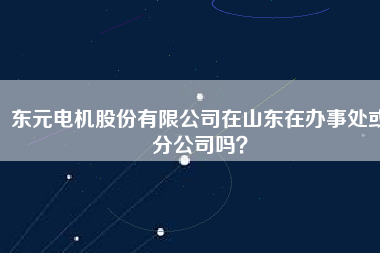 東元電機股份有限公司在山東在辦事處或分公司嗎？