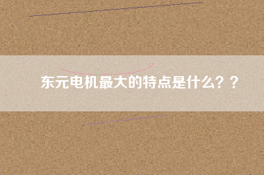 東元電機(jī)最大的特點(diǎn)是什么？？