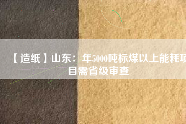 【造紙】山東：年5000噸標(biāo)煤以上能耗項目需省級審查