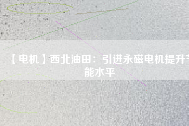 【電機(jī)】西北油田：引進(jìn)永磁電機(jī)提升節(jié)能水平
          