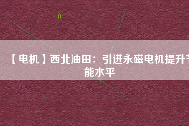 【電機(jī)】西北油田：引進(jìn)永磁電機(jī)提升節(jié)能水平
          