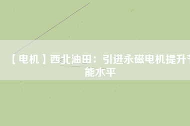 【電機(jī)】西北油田：引進(jìn)永磁電機(jī)提升節(jié)能水平
          