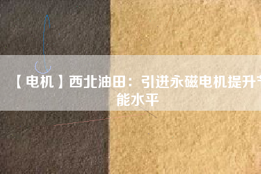 【電機(jī)】西北油田：引進(jìn)永磁電機(jī)提升節(jié)能水平
          