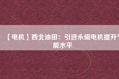 【電機(jī)】西北油田：引進(jìn)永磁電機(jī)提升節(jié)能水平
          