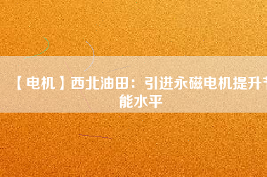 【電機(jī)】西北油田：引進(jìn)永磁電機(jī)提升節(jié)能水平
          