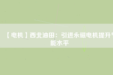 【電機(jī)】西北油田：引進(jìn)永磁電機(jī)提升節(jié)能水平
          