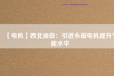 【電機(jī)】西北油田：引進(jìn)永磁電機(jī)提升節(jié)能水平
          