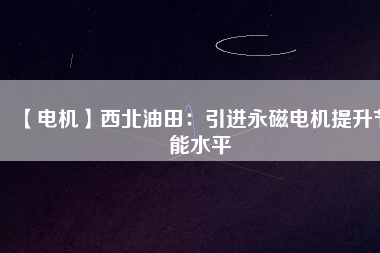 【電機(jī)】西北油田：引進(jìn)永磁電機(jī)提升節(jié)能水平
          